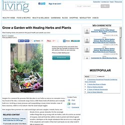 Grow a Garden with Healing Herbs and Plants - Grow