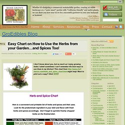 Easy Chart On How To Use Garden Herbs & Spices