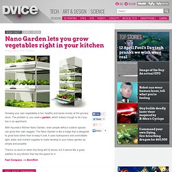 Nano Garden lets you grow vegetables right in your kitchen