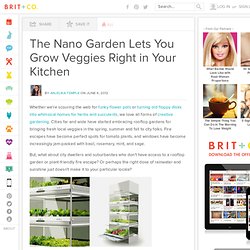 The Nano Garden Lets You Grow Veggies Right in Your Kitchen - Brit & Co. - Living