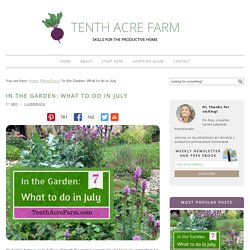 In the Garden: What to do in July