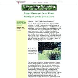 Master Gardener: Stewardship Gardening - Planting and Growing Green Manures