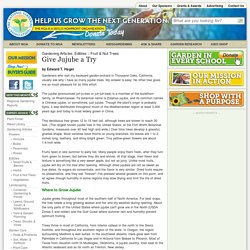 Gardening Articles