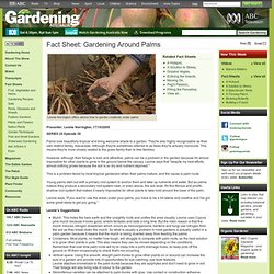 Gardening Australia - Fact Sheet: Gardening Around Palms