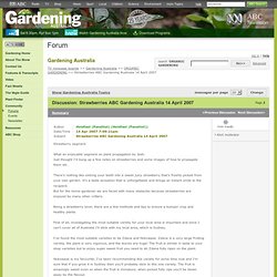 ABC Message Board - Gardening Australia - Messages