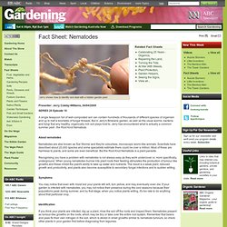 Gardening Australia - Fact Sheet: Nematodes
