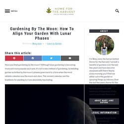 Gardening By The Moon: How To Align Your Garden With Lunar Phases - Home for the Harvest