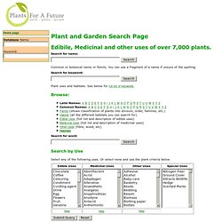 Plant Database search page - Plants For A Future