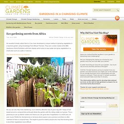 Eco gardening secrets from Africa 