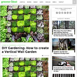 DIY Gardening: How to create a Vertical Wall Garden