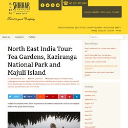 North East India Tour: Tea Gardens, Kaziranga National Park and Majuli Island