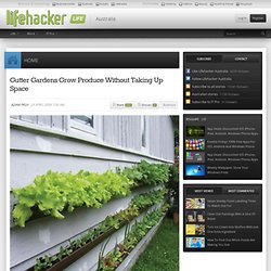 Gutter Gardens Grow Produce Without Taking Up Space