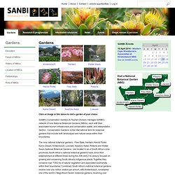 SANBI Gardens co.za