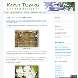 Fruit Trees for Small Gardens « Karen Tizzard Garden Design