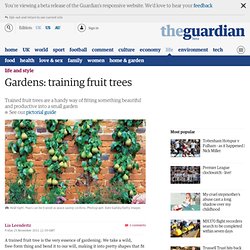 Gardens: training fruit trees