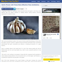Garlic Proven 100 Times More Effective Than Antibiotics