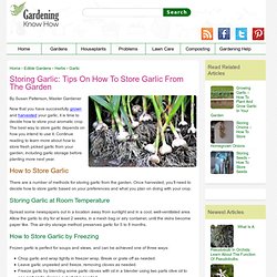 Best Way To Store Garlic – Storing Garlic Before And After Planting