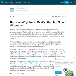 Reasons Why Wood Gasification Is a Smart Alternative