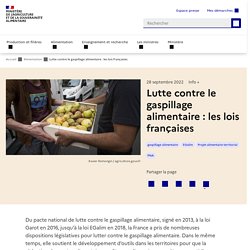 Lutte contre le gaspillage alimentaire : les lois françaises