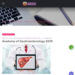 Anatomy of Gastroenterology 2019 - Gastroenterology Aurelius Conferences