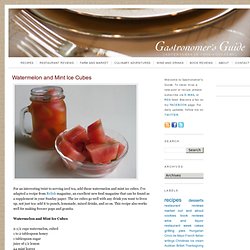 Gastronomers Guide: Watermelon and Mint Ice Cubes