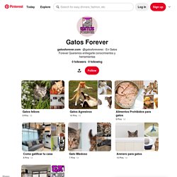 Gatos Forever (gatosforeverec) - Profile