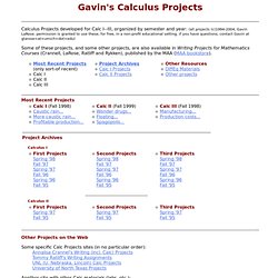 Gavin's Calculus Projects