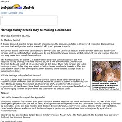 Post-Gazette, 11/21/2002, Heritage turkey breeds making a comeback