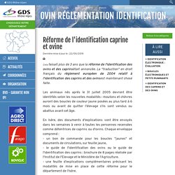 GRDSRA 22/05/19 Réforme de l'identification caprine et ovine