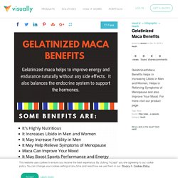 Gelatinized Maca Benefits