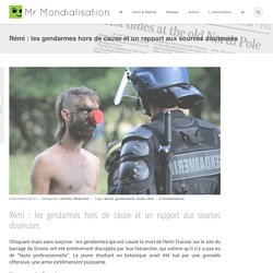 Rémi : les gendarmes hors de cause et un rapport aux sources douteuses