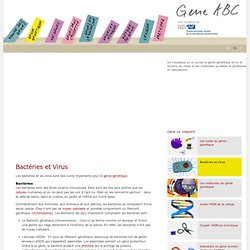 Bactéries et Virus
