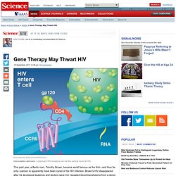 Gene Therapy May Thwart HIV