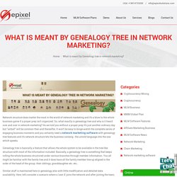 What is meant by Genealogy tree in network marketing?