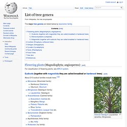 List of tree genera