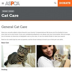 General Cat Care
