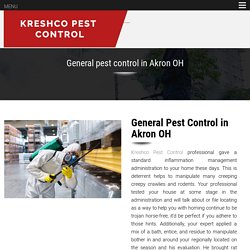 General pest control in Akron OH