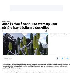 Avec l'Arbre à vent, une start-up veut généraliser l'éolienne des villes