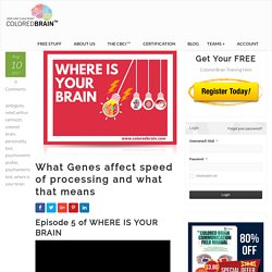 What Genes affect speed of processing and what that means