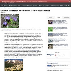 Genetic diversity: The hidden face of biodiversity