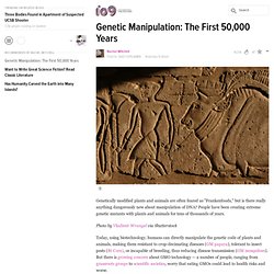 Genetic Manipulation: The First 50,000 Years