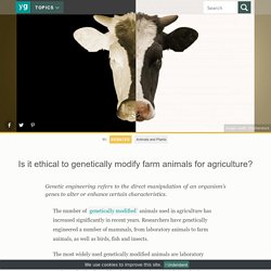 Is it ethical to genetically modify farm animals for agriculture?