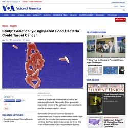 Study: Genetically-Engineered Food Bacteria Could Target Cancer
