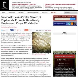 New WikiLeaks Cables Show US Diplomats Promote Genetically Engineered Crops Worldwide