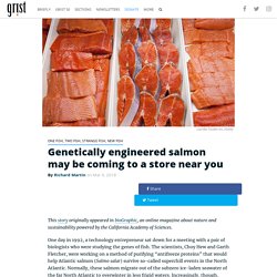 Genetically engineered salmon may be coming to a store near you