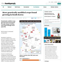 THE HANKYOREH 05/06/13 More genetically modified crops found growing in South Korea