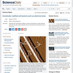 Genetically modified soil bacteria work as electrical wires