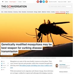 THECONVERSATION 20/08/18 Genetically modified mosquitoes may be best weapon for curbing disease transmission