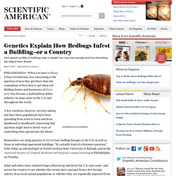 Genetics Explain How Bedbugs Infest a Building