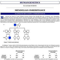 Human Genetics - Mendelian Inheritance 6